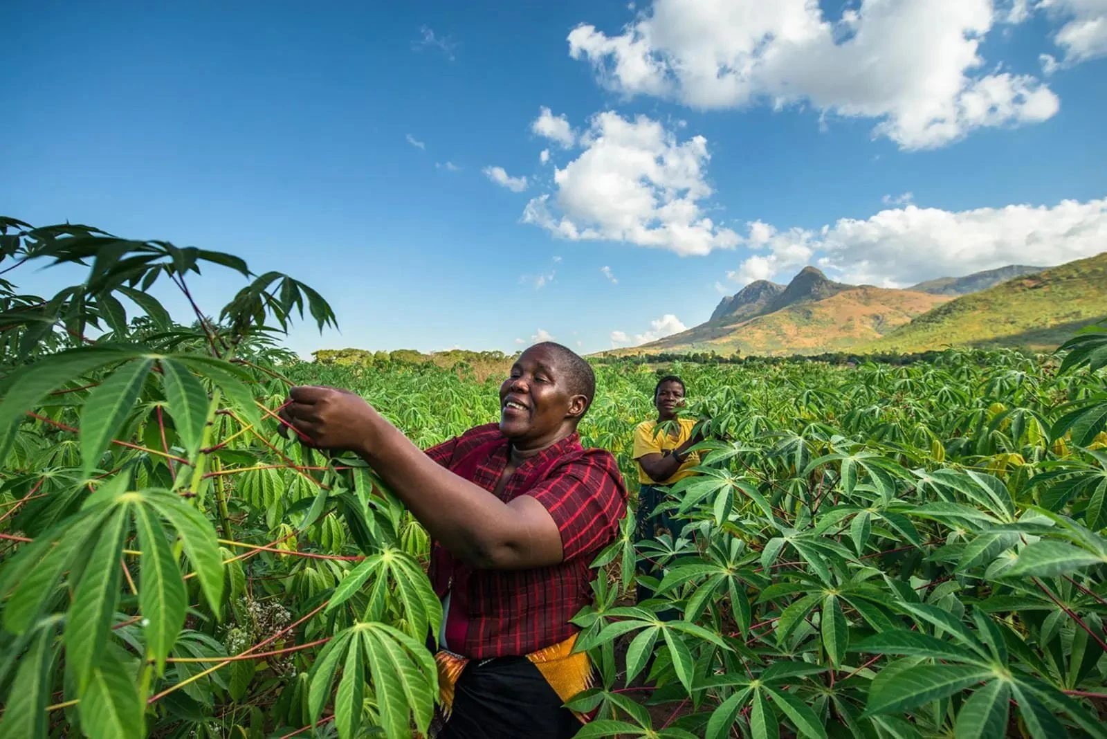 11d350f671bfb837ba467110ef97ba7f.webp 11d350f671bfb837ba467110ef97ba7f.webp