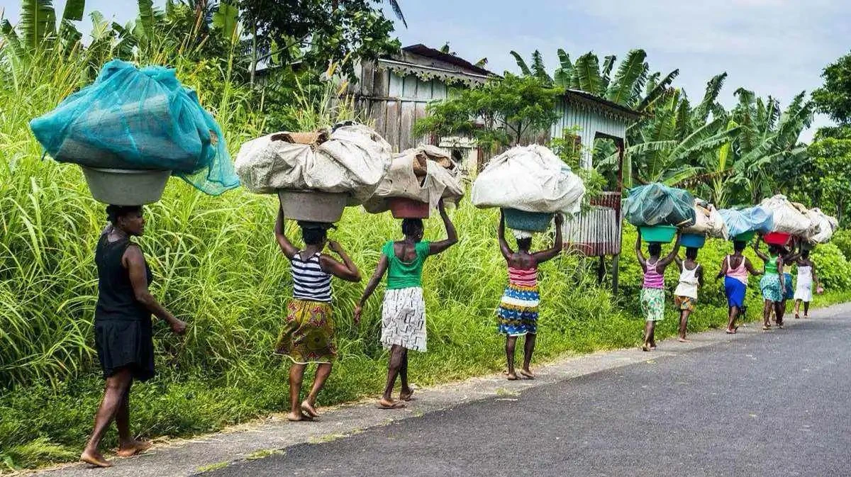 c947c394dfbe96da6cfa3b1728da25dd.webp c947c394dfbe96da6cfa3b1728da25dd.webp